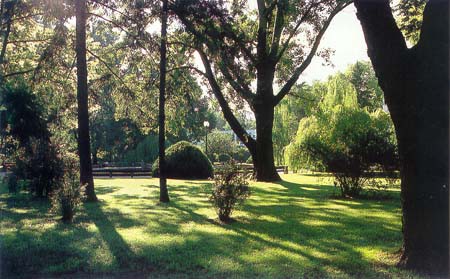 A szálloda mögötti park